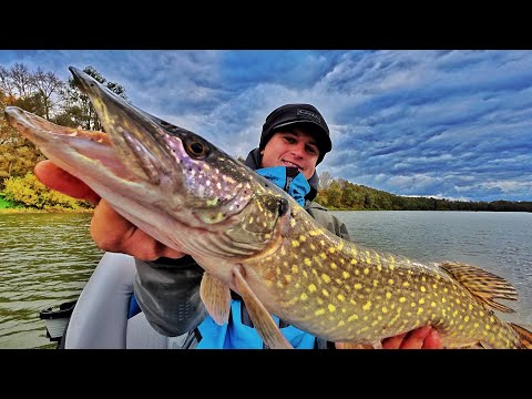 Видео: ОСІННІ ХАЙКИ РВУТЬ ПРИМАНКИ! Ловля Щуки та Судака на Десні у Жовтні