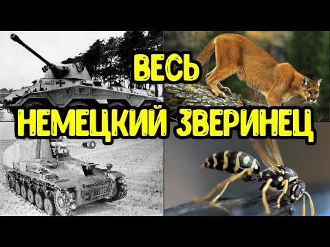 Видео: Почему немцы называли танки и САУ именами животных?