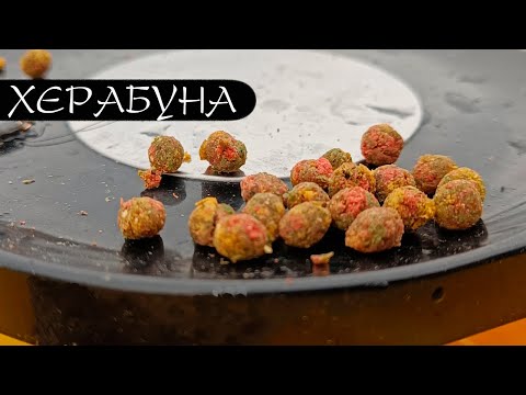 Видео: ТЕСТО НОМЕР 1 ОСЕНЬЮ! Ловит быстро, много, легко!