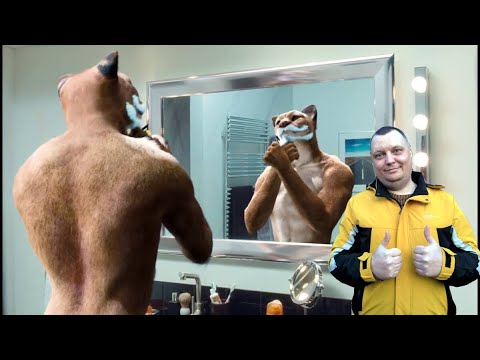 Видео: Ужасы похмелья: Мартовское обострение