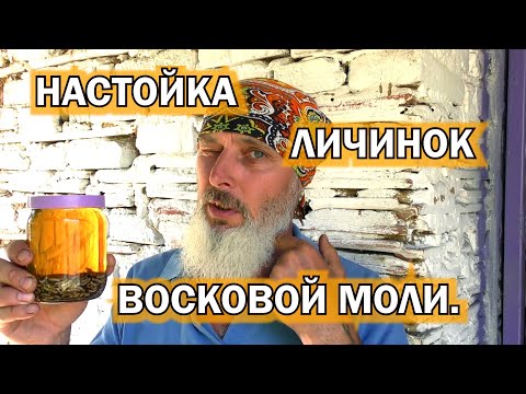 Видео: НАСТОЙКА ЛИЧИНОК ВОСКОВОЙ МОЛИ.