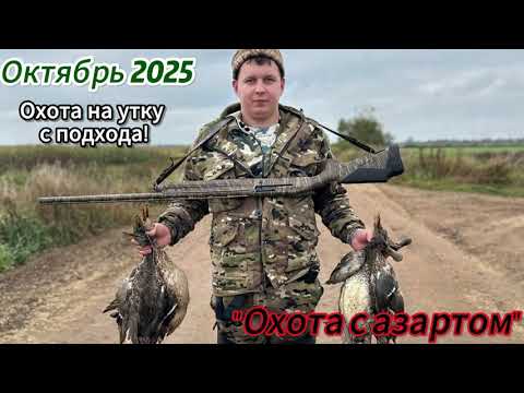 Видео: 🔥ОХОТА НА УТКУ С ПОДХОДА В ОКТЯБРЕ🔥|Октябрь 2025 | Настоящая осенняя охота!