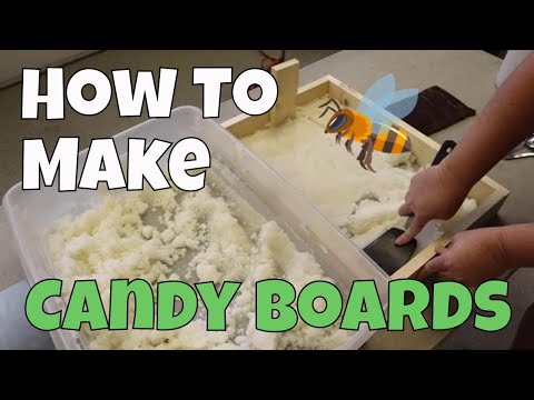 Видео: Как сделать конфетные доски для зимующих медоносных пчел