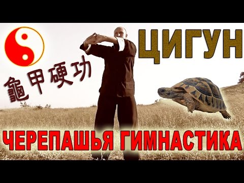 Видео: Жесткий цигун в тайцзицюань. Черепашья гимнастика (гуйцзя ингун 龜甲硬功)