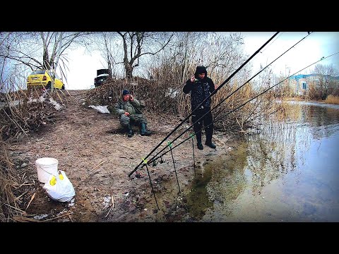 Видео: Скинули воду і риба збилася в кучу! Ловимо, дубасимо так, аж гай гуде!