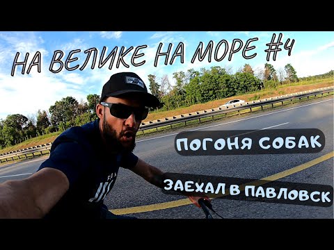 Видео: №4 Выехал с Воронежа/Нарвался на собак/Заехал в город Павловск