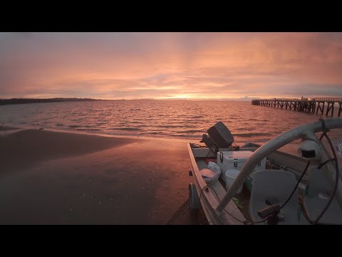 Видео: Раннее утреннее рыболовство на люциане в проливе Папакура – ​​гавань Манукау в районе Фирана 440