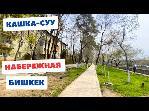 Видео: Набережная Бишкека 2024, Малдыбаева, 61 школа