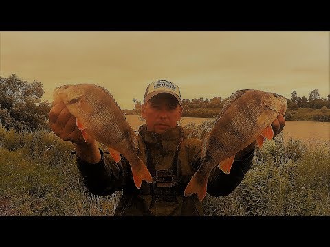 Видео: Отводной поводок на Оке(Кашира). Слом погоды. Горбачи!