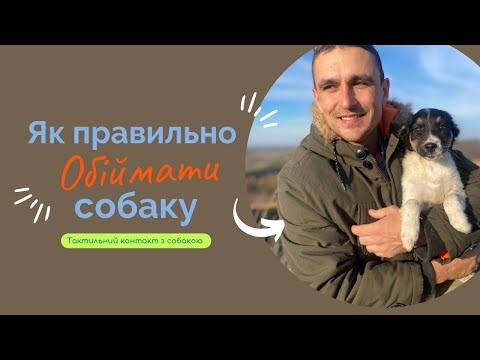 Видео: Як можна трогати собаку, а як робити не треба.