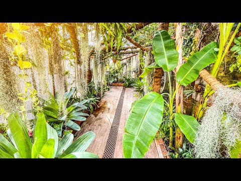 Видео: Безумный сад Тики Марка ПОСЛЕ зимы — реальность тропических растений Великобритании!