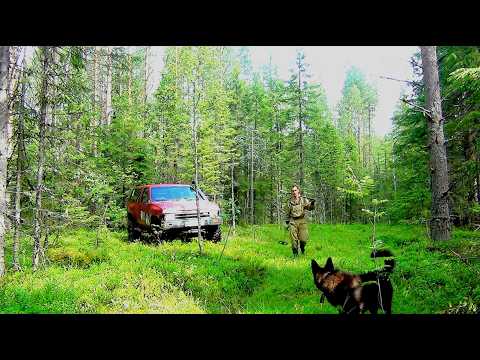 Видео: Погода портит все планы! В очередной раз порадовало наследие ужд, мелиораторов и лесорубов!!!