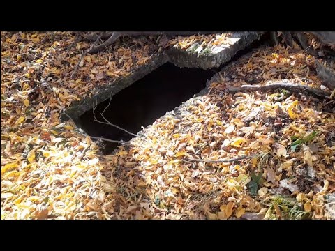 Видео: БУНКЕРА НА БАЛКАНСКАТА ЧЕТА И САНДЪКА @top-roskata