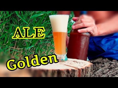 Видео: Золотистый ЭЛЬ в английском стиле.Рецепты домашнего ПИВА!!!
