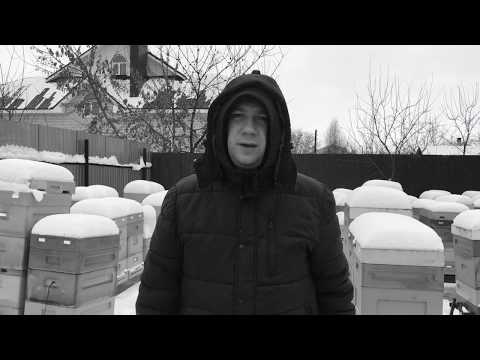 Видео: Улей ППУ Нижегородец. Зимовка(27.01.2018)