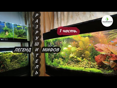 Видео: Разрушитель аквариумистических легенд 1 ч.