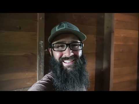 Видео: Обновление «Затерянные гоночные голуби», «Голубиный голубятня» и «Голубиное гнездо»!