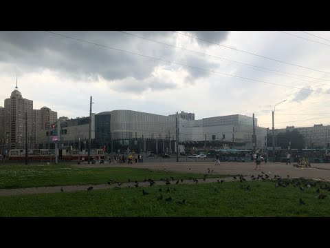 Видео: Лето 2025/подбор музыки