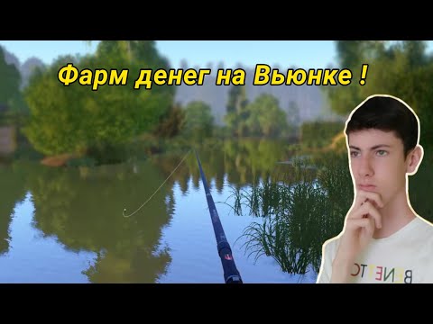 Видео: ФАРМ денег на Вьюнке! СКОЛЬКО я ЗАРАБОТАЛ за пол дня рыбалки?!