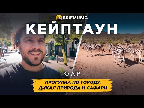 Видео: Кейптаун, ЮАР | Прогулка по городу, дикая природа и сафари | SKIFMUSIC.RU