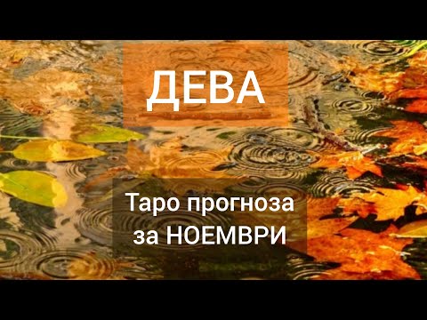 Видео: ДЕВА ♍ Таро🍁НОЕМВРИ 2024 #tarot #tarotreading #хороскоп #рийдинг #дева #tarotreader