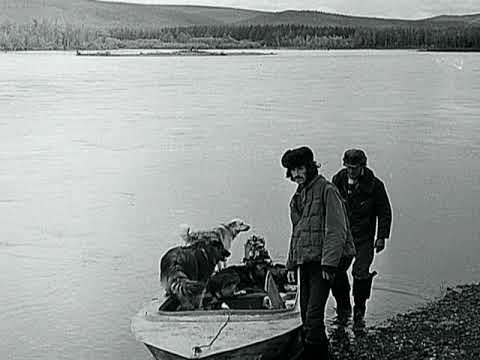 Видео: 1975 год  Магаданская обл  Северо Эвенский р-он  Река Омолон Часть 1