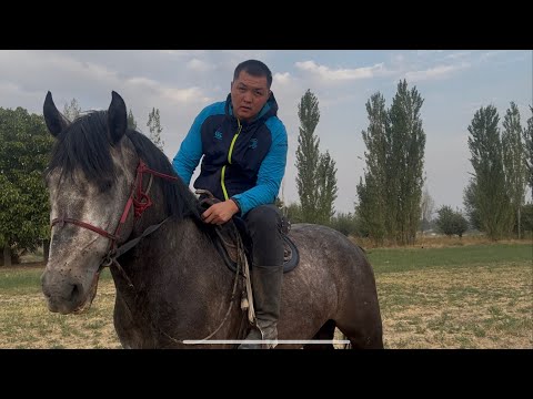 Видео: Тел +996-227-827-282.  14 сентября 2025 г.