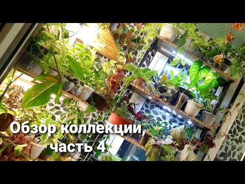 Видео: Обзор коллекции, часть 4