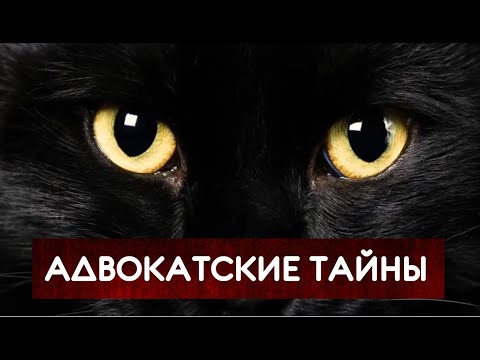 Видео: В маленьких городах адвокатам не дают работать