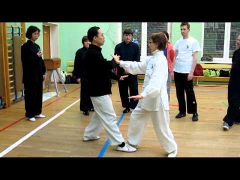 Видео: Ван Лин Тайцзи Ян 24 формы Туйшоу [1]