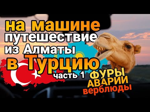 Видео: В ТУРЦИЮ НА HAVAL H9, ИЗ АЛМАТЫ | АЛМАТЫ-КЫЗЫЛОРДА-УРАЛЬСК | ФУРЫ, АВАРИИ И ВЕРБЛЮДЫ | ЧАСТЬ 1