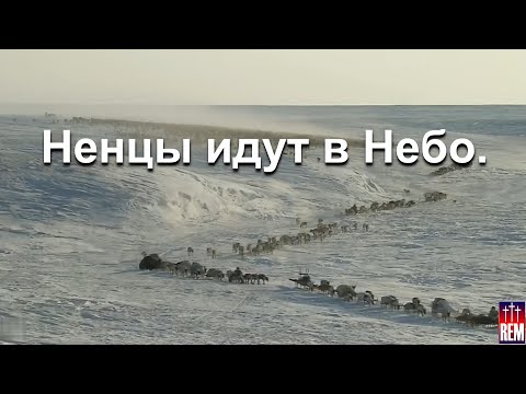 Видео: Ненцы идут в небо. Фильм первый