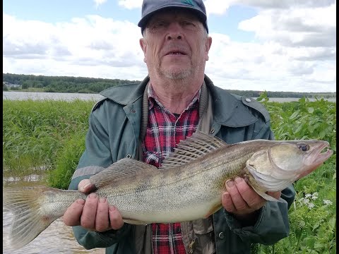 Видео: СИЛЬНЫЙ ЛИВЕНЬ ИСПОРТИЛ ПЕРВЫЙ ДЕНЬ, НО СУДАК НЕ ОБМАНУЛ ОЖИДАНИЙ!