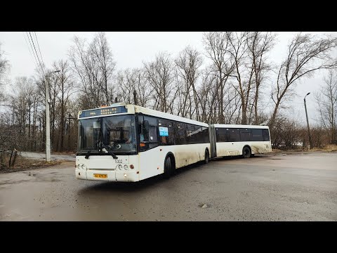 Видео: Автобус, маршрут №145(э) ЛиАЗ-6213.20 б.5302 (21.03.2024) Красное Село/Санкт-Петербург