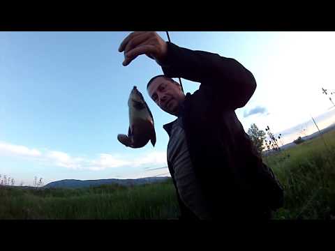 Видео: На каналите на р. Арката