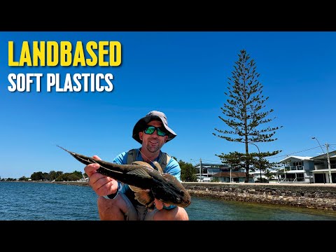 Видео: Наземные работы | Береговая линия Брайтона с мягким пластиком