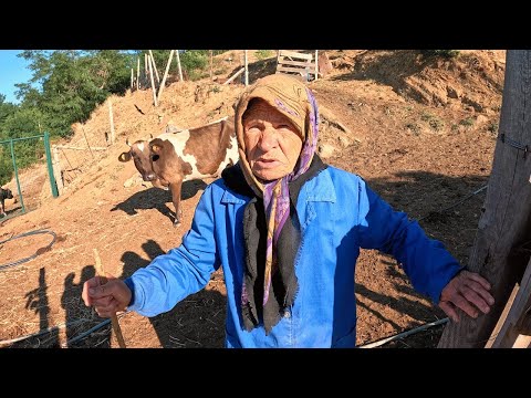 Видео: Сельская жизнь в горах Болгарии