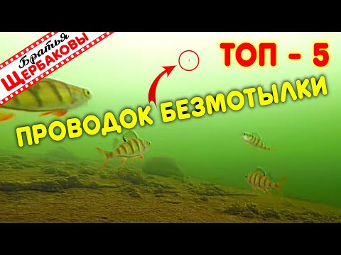 Видео: Любимые БЕЗМОТЫЛЬНЫЕ ПРОВОДКИ. Зачем чередовать приёмы игры. Подводные съемки. Реакция рыбы