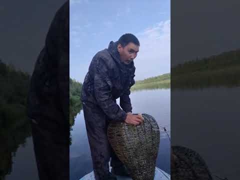 Видео: р. Елогуй