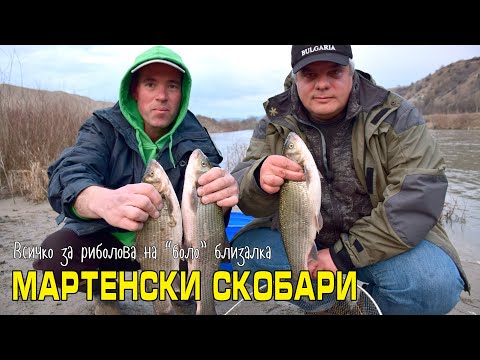Видео: Мартенски СКОБАРИ и всичко за риболова на "боло" близалка