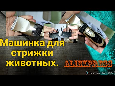 Видео: 125.⁉️КАК СТРИЧЬ ЖИВОТНЫХ И ПОЧТИ ЗА ЭТО НЕ ПЛАТИТЬ ⁉️ Машинки для стрижки животных 🐶🐈 AliExpres
