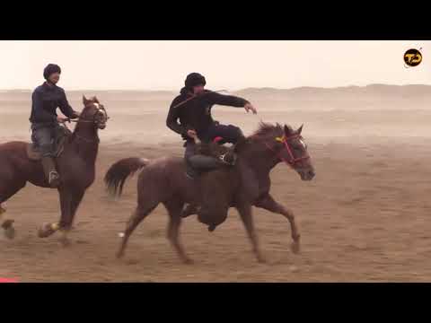 Видео: Янги Зарафшан кокпар 2022 толык нуска
