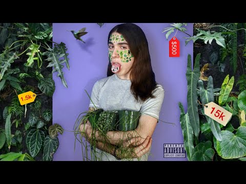 Видео: Какова истинная причина коллекционирования «редких растений»? | Социальный и исторический анализ