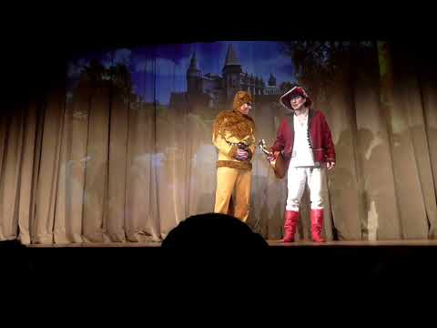 Видео: Кот в сапогах.Запись 12.10.2025
