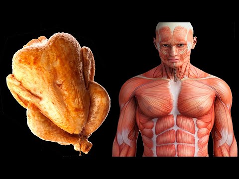 Видео: Если будете есть курицу каждый день, то вот что произойдет