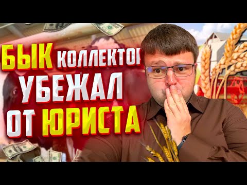 Видео: ВЕРНИ ДЕНЬГИ! Коллекторы КРИЧАТ НА ЮРИСТА! Как не платить кредит законно. Банкротство физ лиц