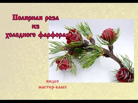 Видео: полярная роза из холодного фарфора