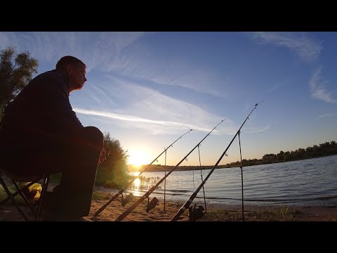 Видео: Река Ахтуба.  ОДИН НА РЕКЕ.  РЫБАЛКА С НОЧЕВКОЙ  КРУПНЫЙ КАРАСЬ  НА  ЗАКИДУШКИ.