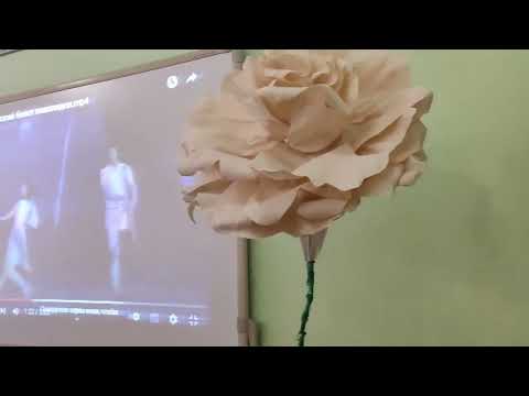 Видео: Азенова Н.С. "Өмір құндылықтары"