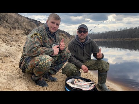 Видео: СЫРТЬ,ВИМБА,РЫБЕЦ! ЭТА РЫБА ПРЕТ,КАК ТАНК! ФАНТАСТИЧЕСКОЕ ОТКРЫТИЕ СЕЗОНА ПО СЫРТИ